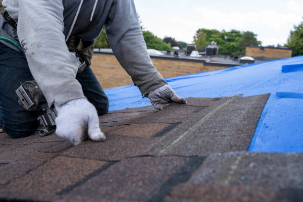 Best Emergency Roof Repair  in Fort Bliss, TX