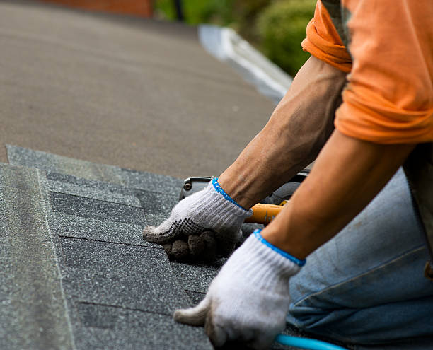 Best New Roof Installation  in Fort Bliss, TX