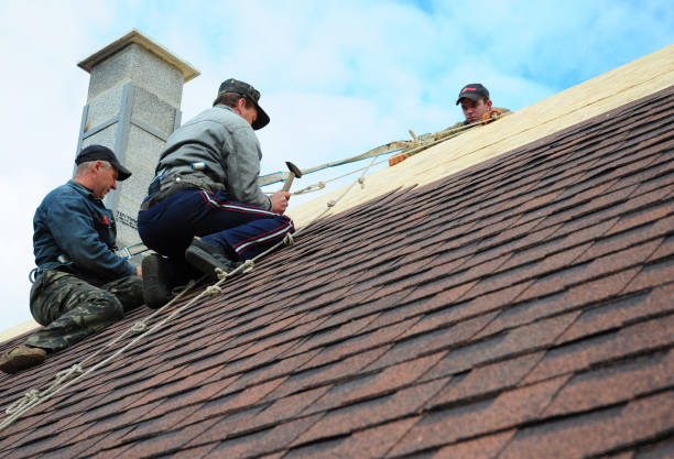 Best Emergency Roof Repair  in Fort Bliss, TX
